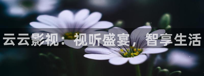 西瓜影院免费观看电视剧电影：云云影视：视听盛宴，智享生活