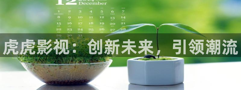 太太万岁在线观看免费西瓜