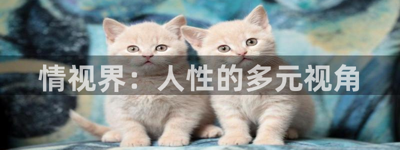 四川在线观看免费版高清西瓜