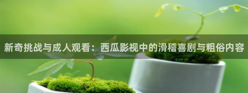 西瓜看球免费直播：新奇挑战与成人观看：西瓜影视中的滑稽喜剧与粗俗内容