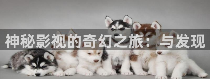 觉醒年代在线观看西瓜