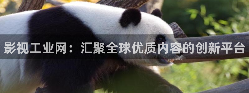 西瓜视频在线观看：影视工业网：汇聚全球优质内容的创新平台