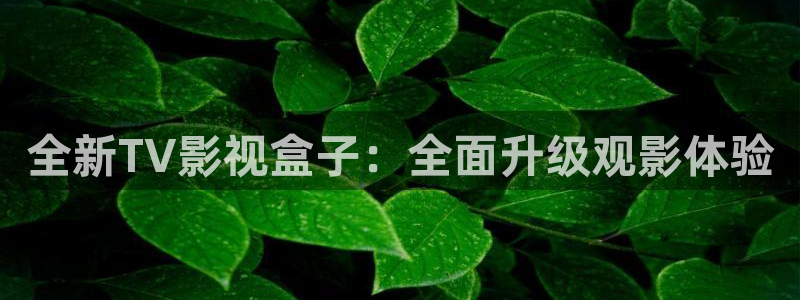 西瓜免费视频：全新TV影视盒子：全面升级观影体验