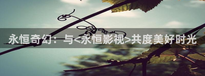 西瓜电影免费观看全部完整版高清：永恒奇幻：与<永恒影视>共度美好时光