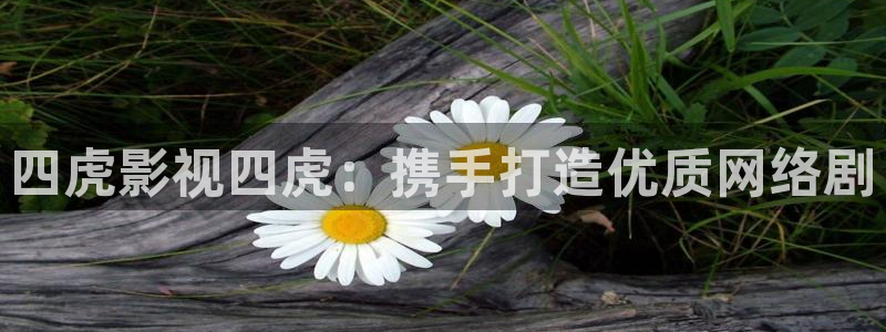 白夜追凶第二季在线观看免费西瓜