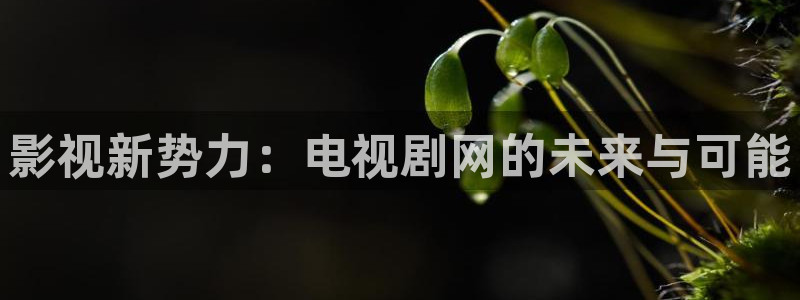 龙岭迷窟在线观看西瓜：影视新势力：电视剧网的未来与可能