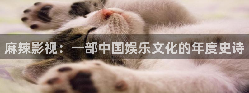 西瓜视频网站免费观看：麻辣影视：一部中国娱乐文化的年度史诗