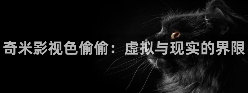西瓜动漫在线观看完整免费