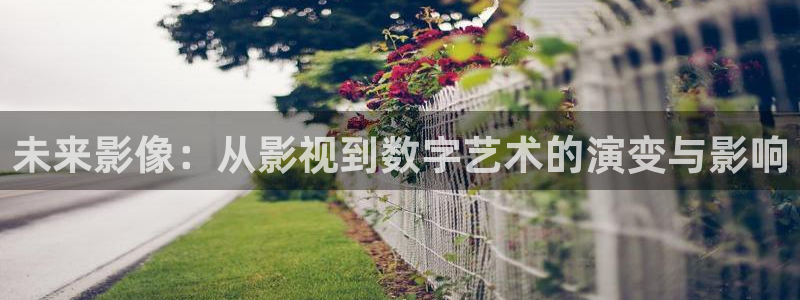 觉醒年代在线观看西瓜：未来影像：从影视到数字艺术的演变与影响